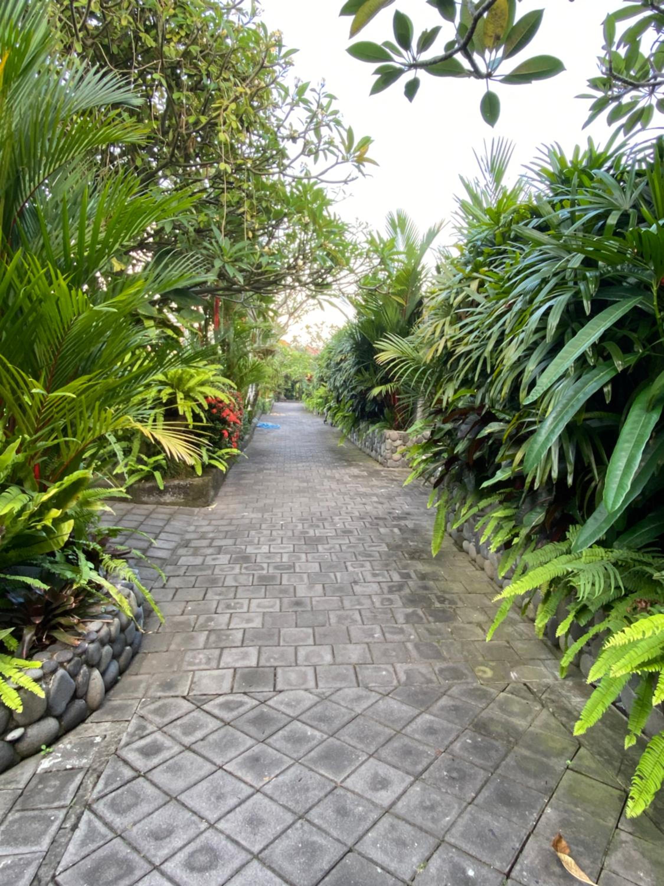 Reddoorz Nelayan Canggu 14/24
