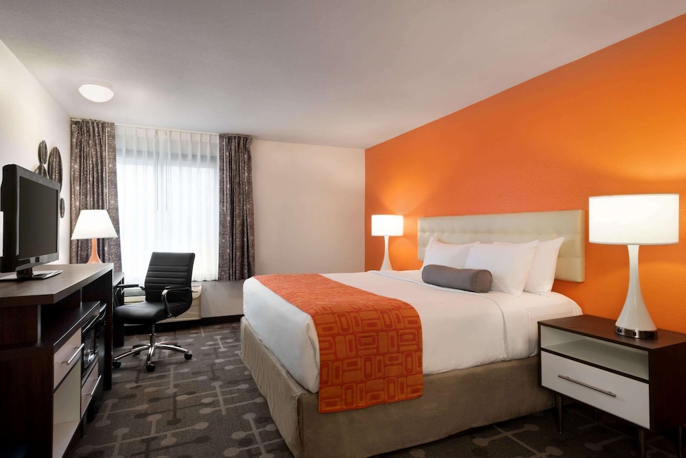 Room, King Bed