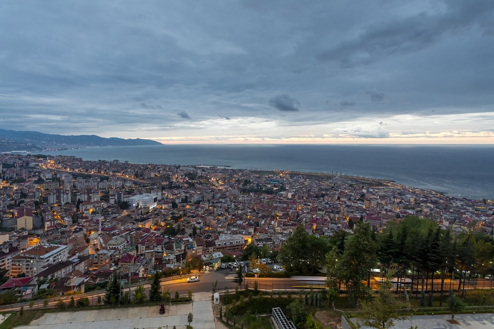 Radisson Blu Hotel Trabzon 27/70