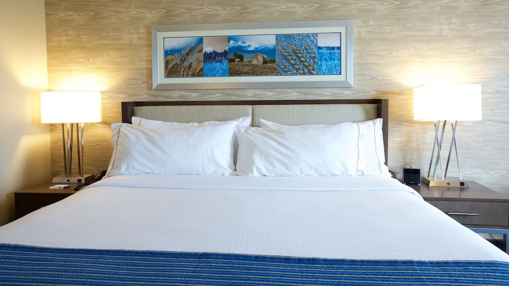 Holiday Inn Express Fargo SW - I-94 Medical Center 21/52