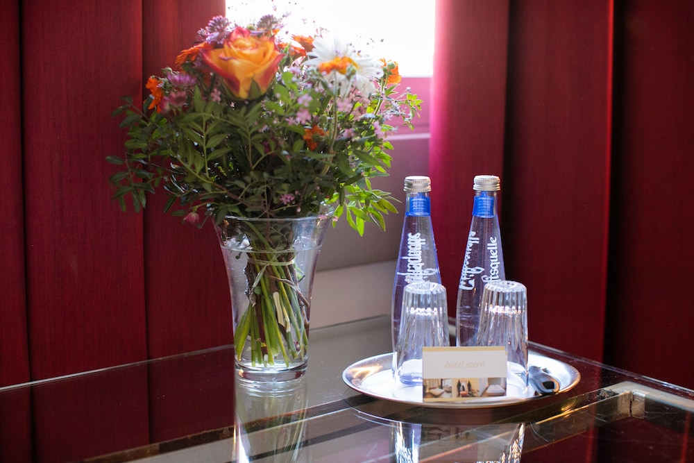 Hotel Stern 26/50