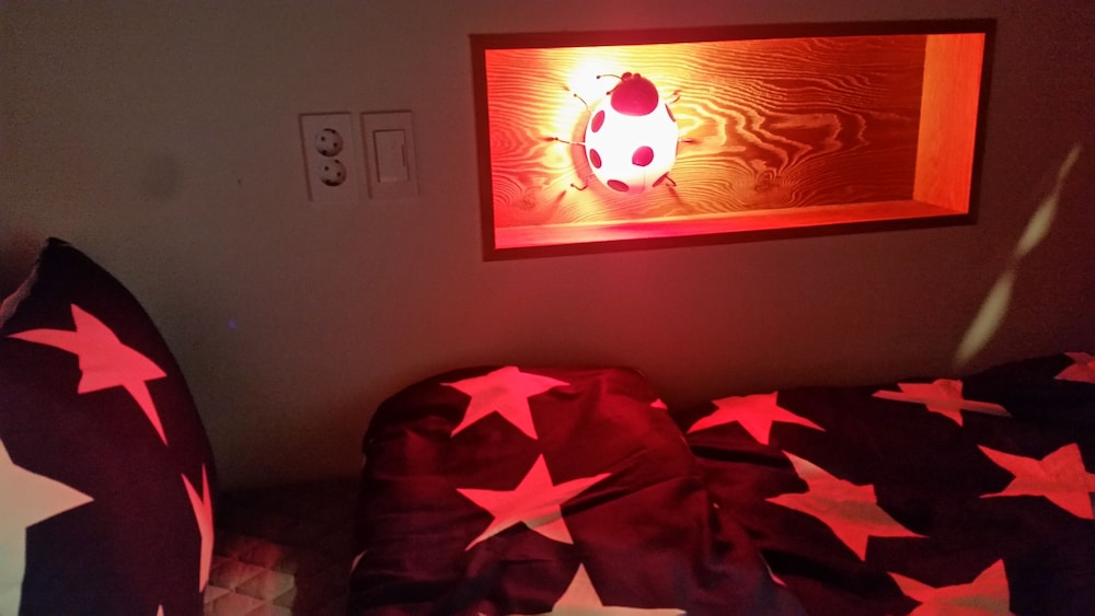 Bori Guesthouse - Hostel 写真5