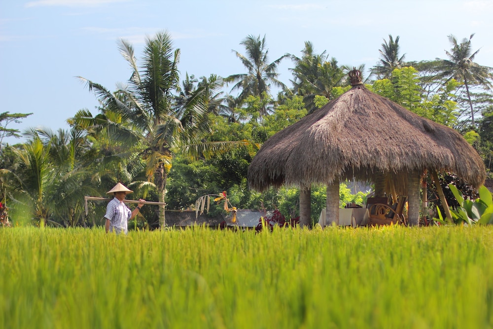 Mathis Retreat Ubud 31/46