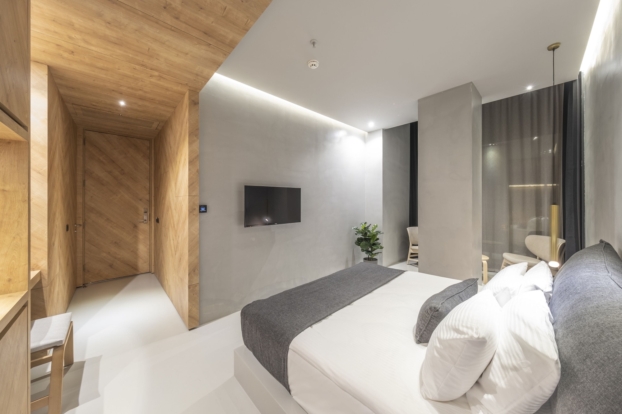 Suite, King Bed, Murphy Bed