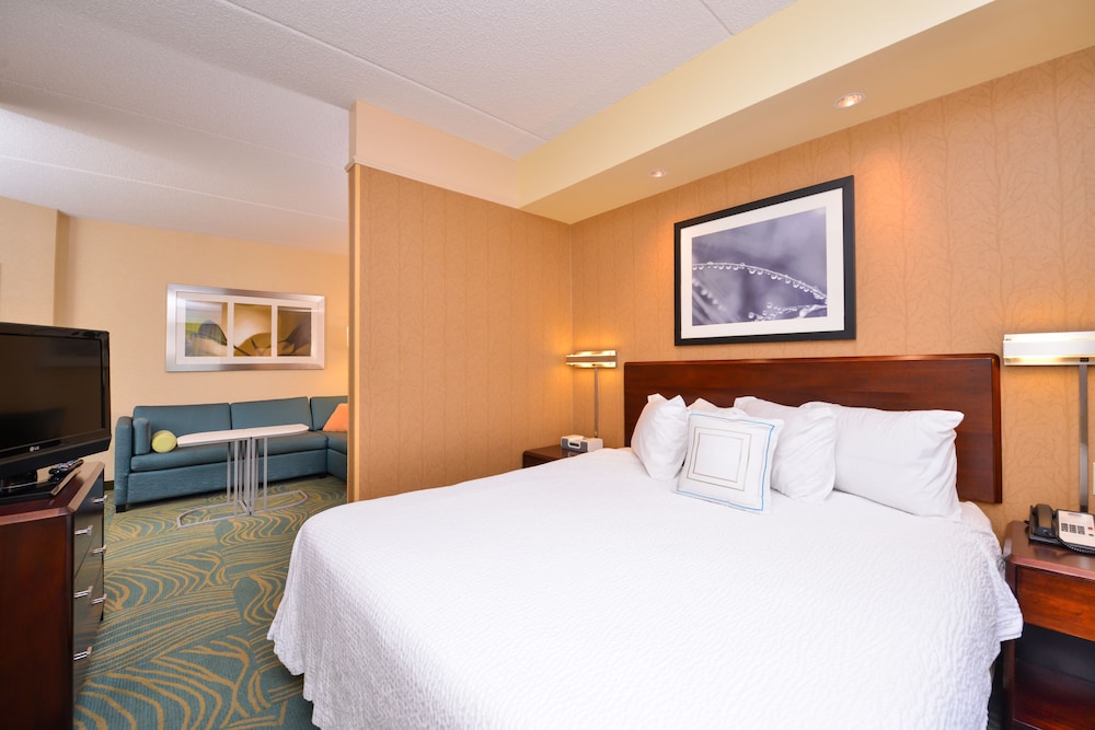 Room at Springhill Suites By Marriott Arundel Mills Bwi Airport, HANOVER - MD