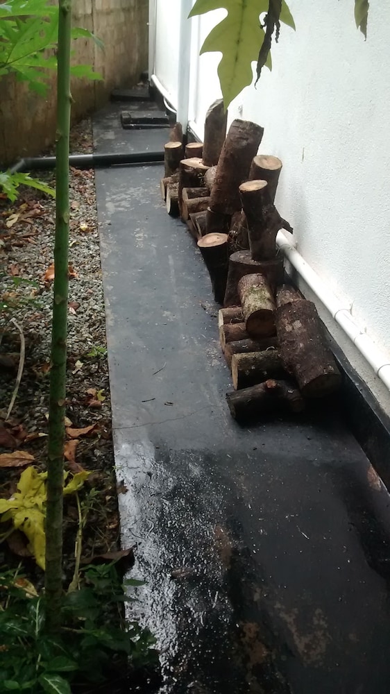 Jungleside House 22/50