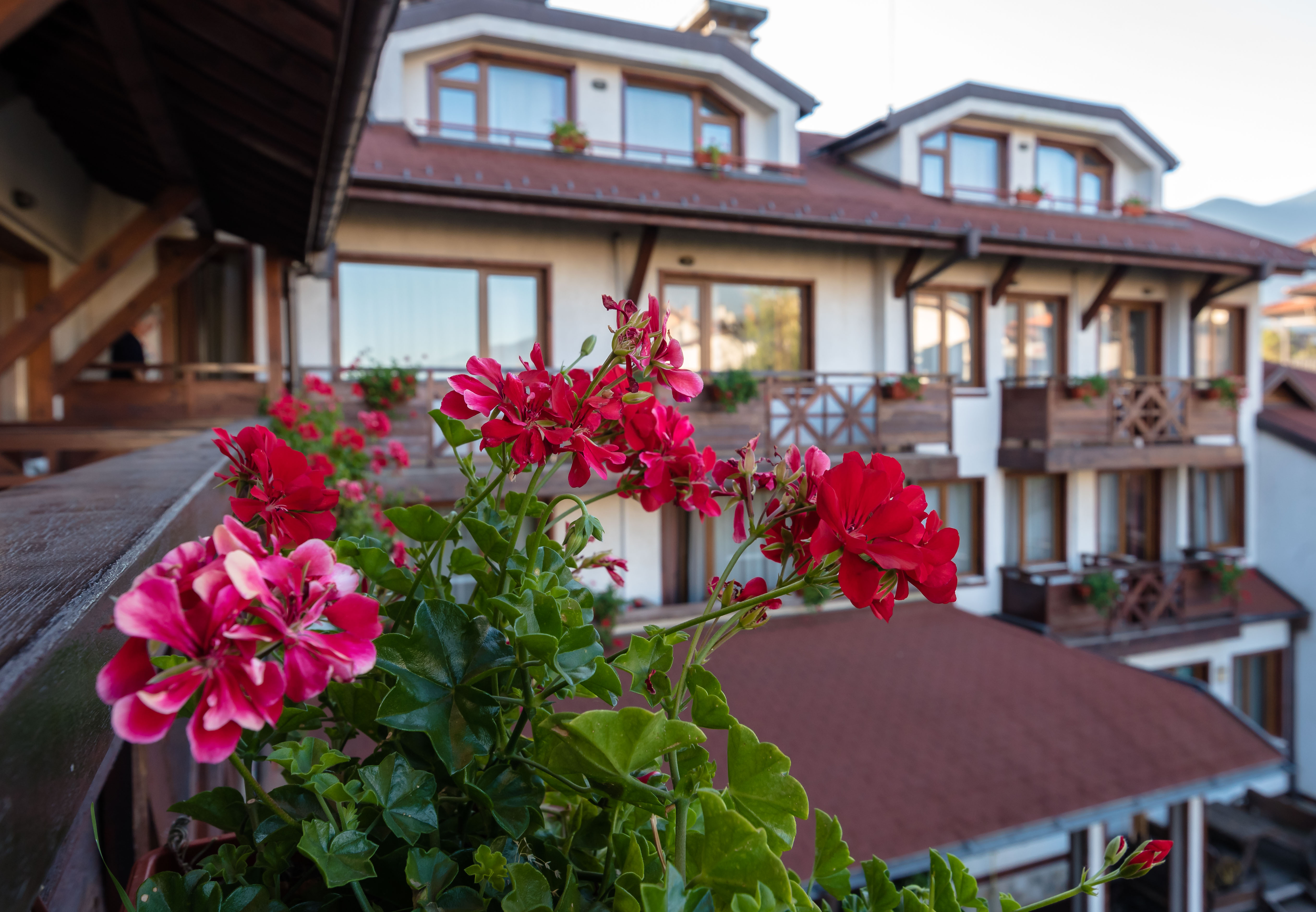 Evelina Palace Hotel 40/49