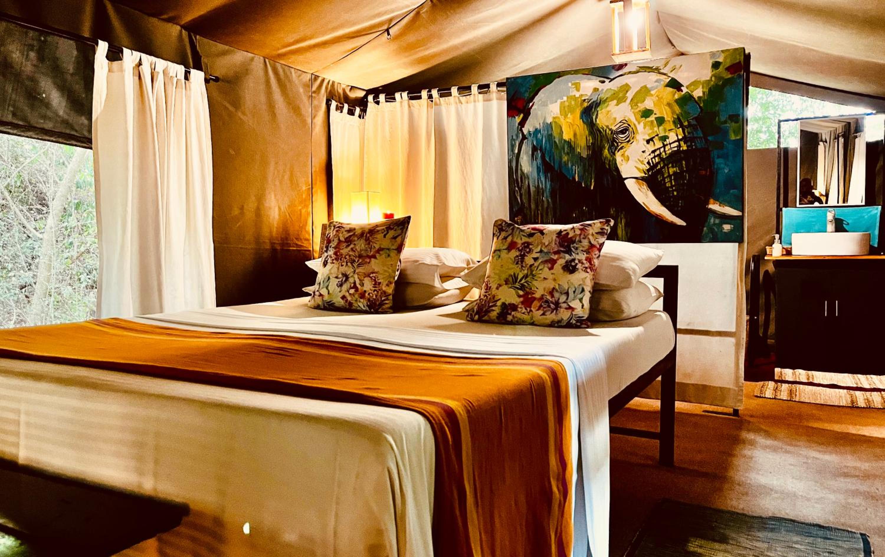 Glamping, Suite