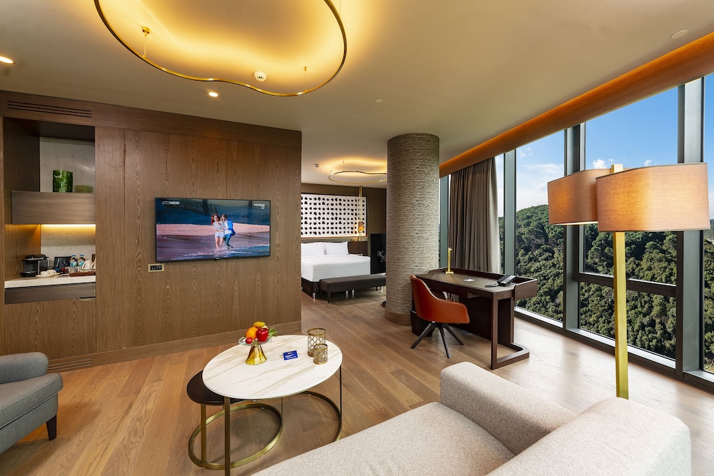 Radisson Collection Hotel Vadistanbul 45/75