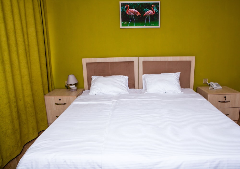 Flamingo Hotel Baku 14/45