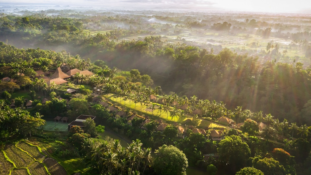 Maya Ubud Resort Spa 39/50