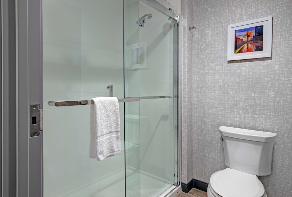 Hampton Inn Suites Farmers Branch Dallas Tx 15/54