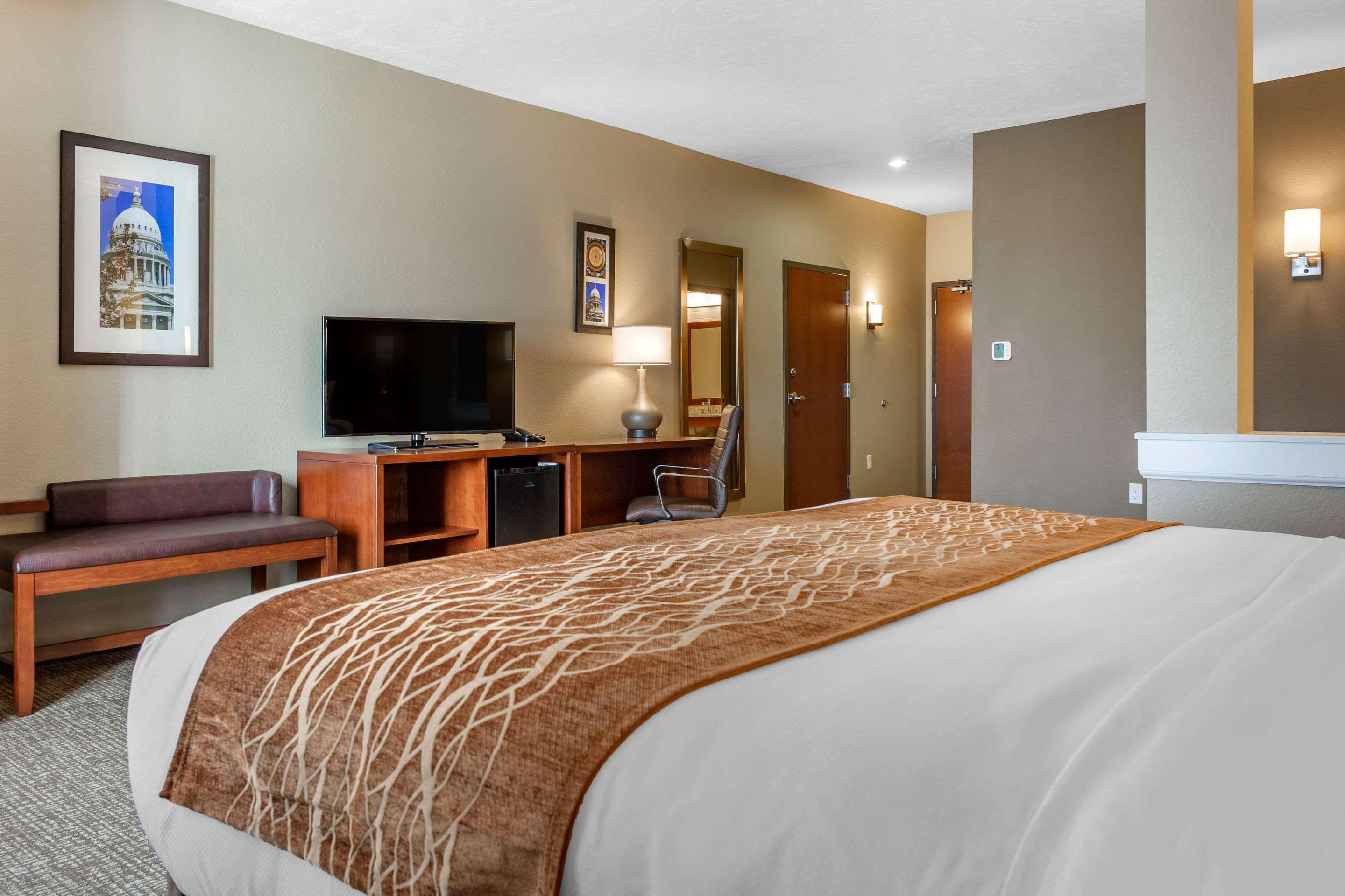 Suite, King Bed