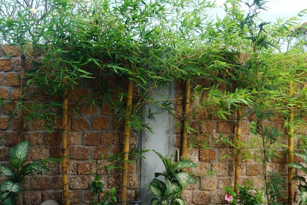 Red House Homestay 10/70