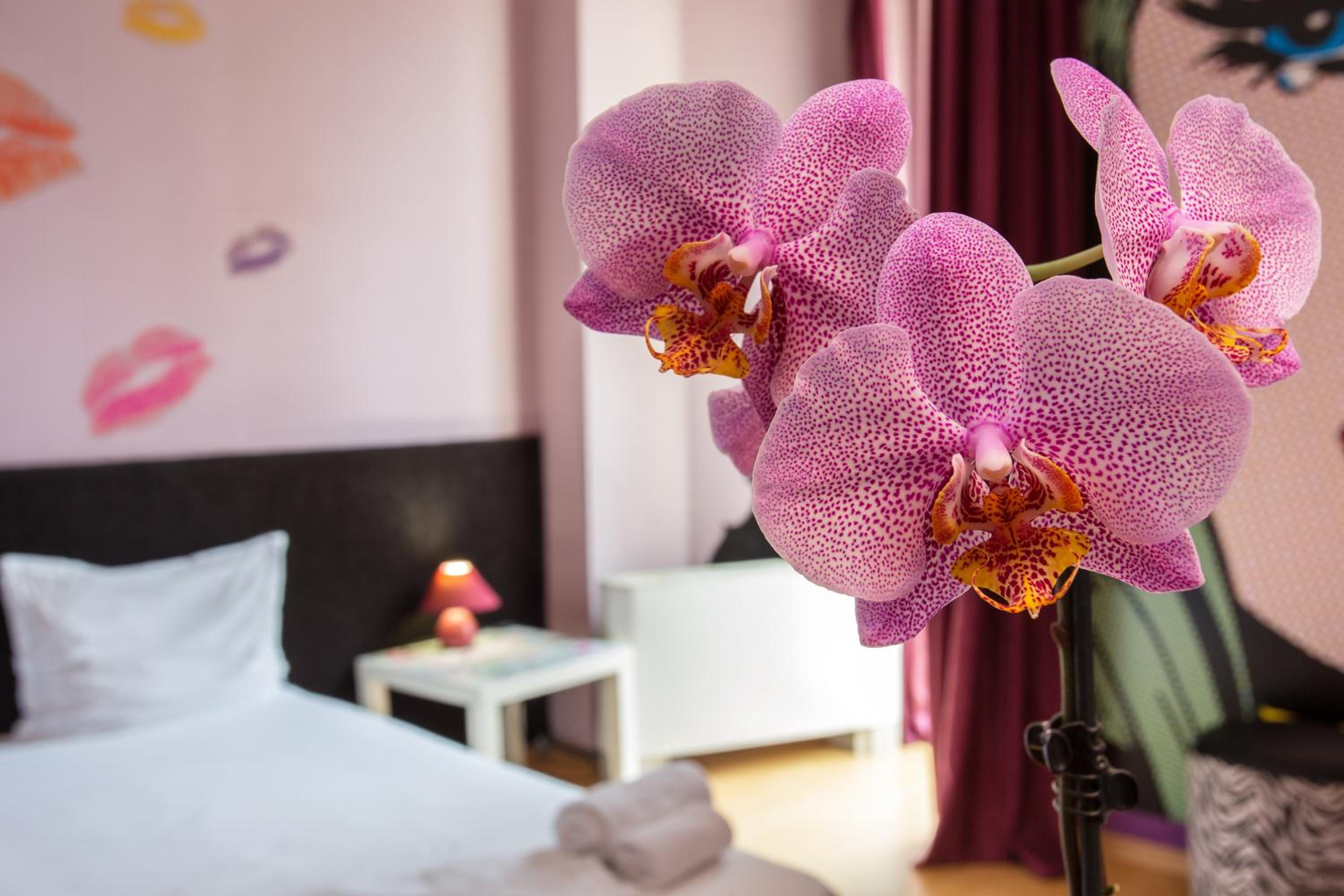 Design, Single, Art Hotel Simona 9/10