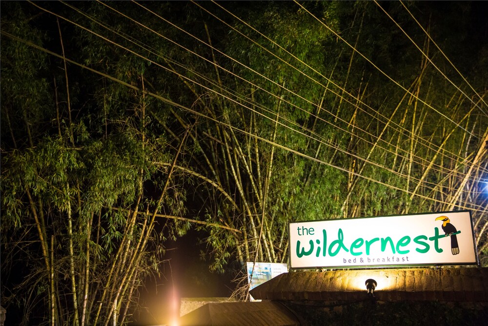 WILDERNEST 40/42
