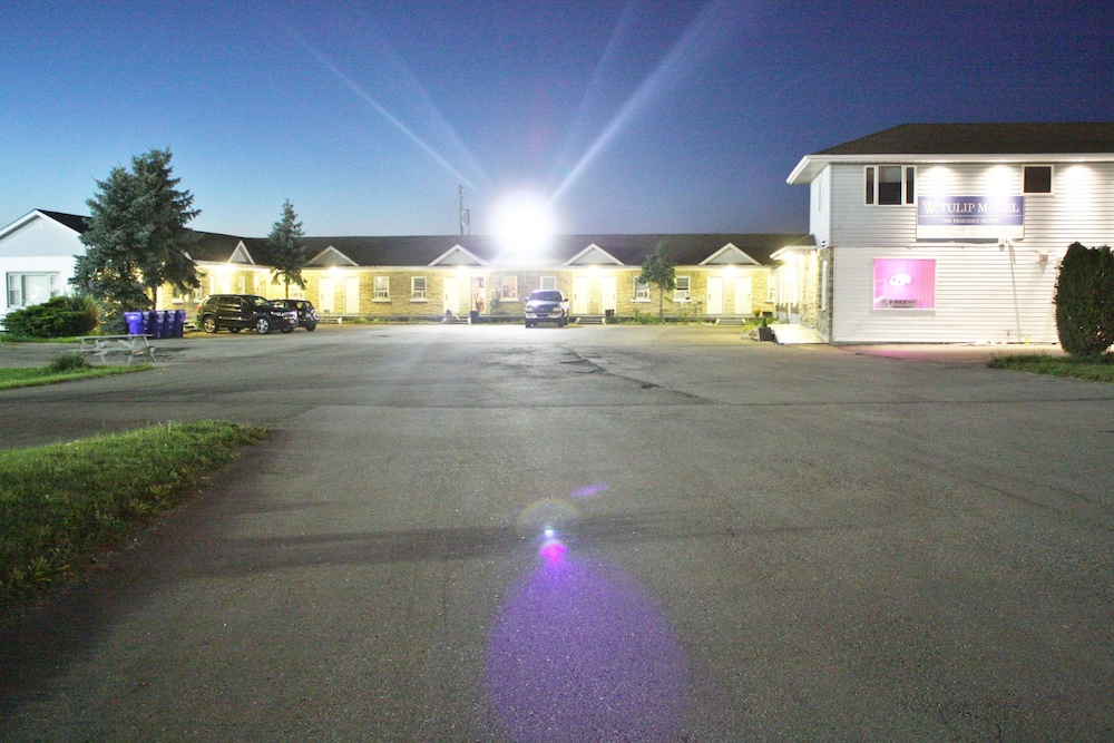 Tulip Motel 36/50