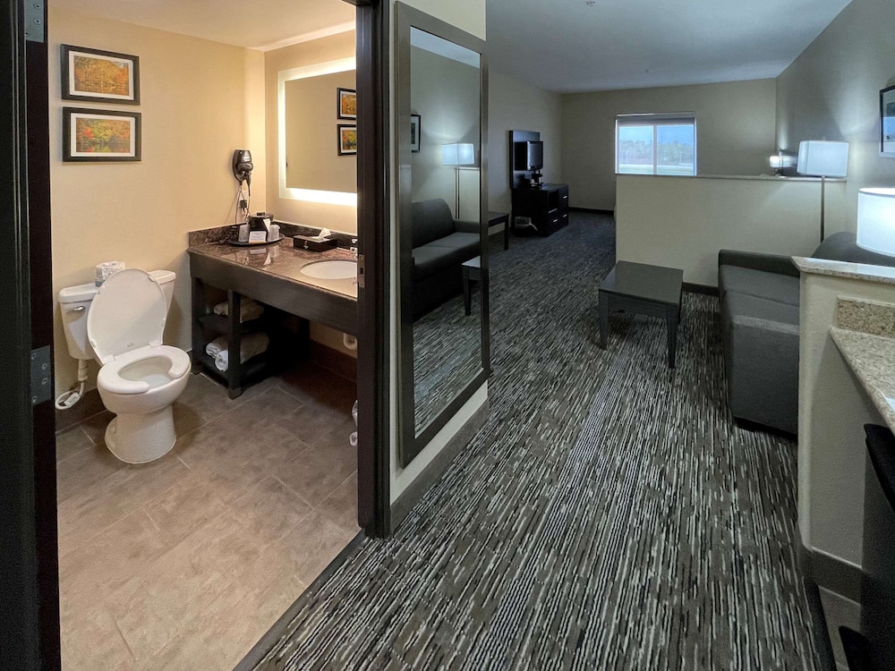 Comfort Inn Orange I-10 23/44