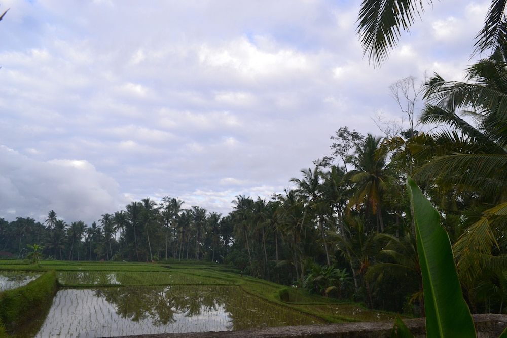 Buda Cottage Ubud 29/36