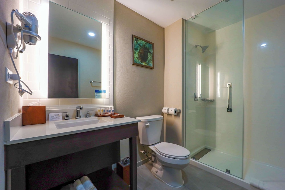 Comfort Inn & Suites Tobago 49/50