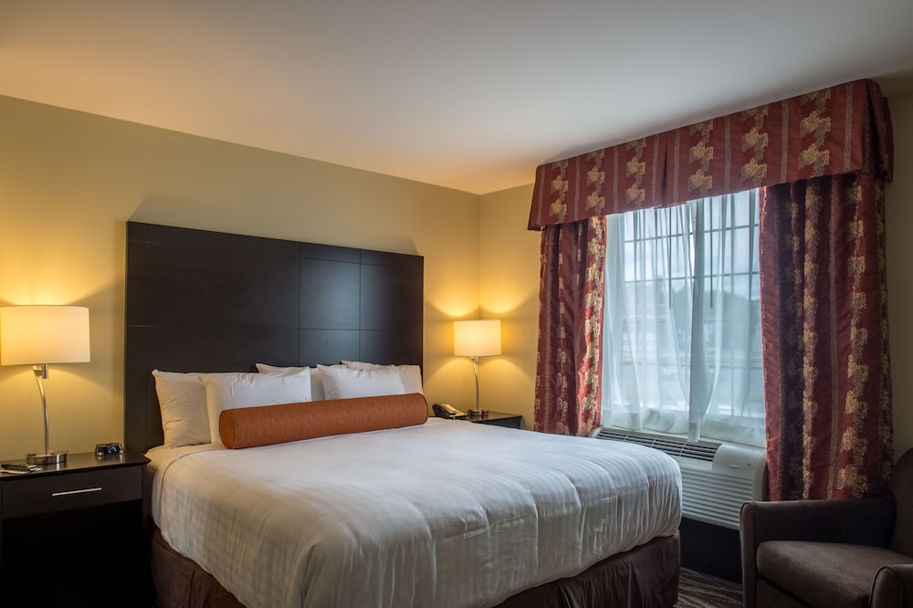 Suite, King Bed, Sofa, Accessible