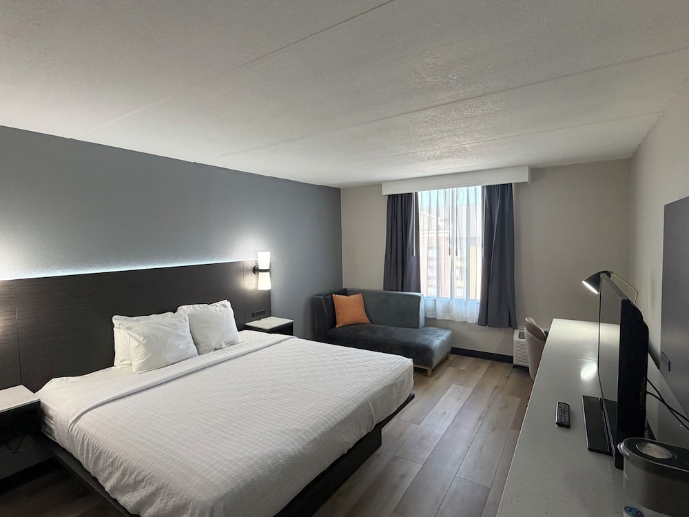 Standard, King Bed