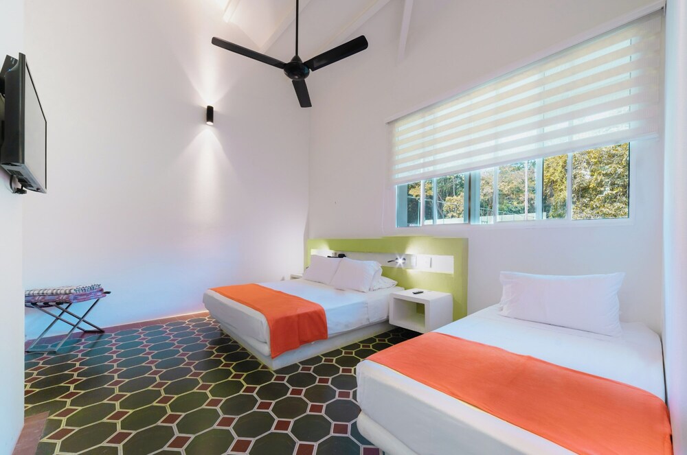 hotel las palmeras 11/50