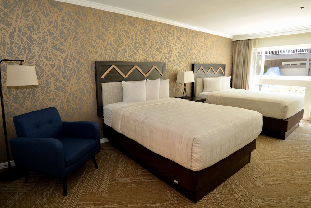 Best Western Plus Inn At The Vines 10/43