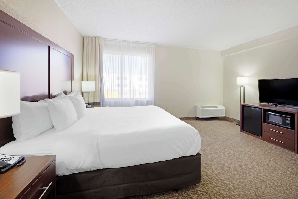 SUITE, KING BED