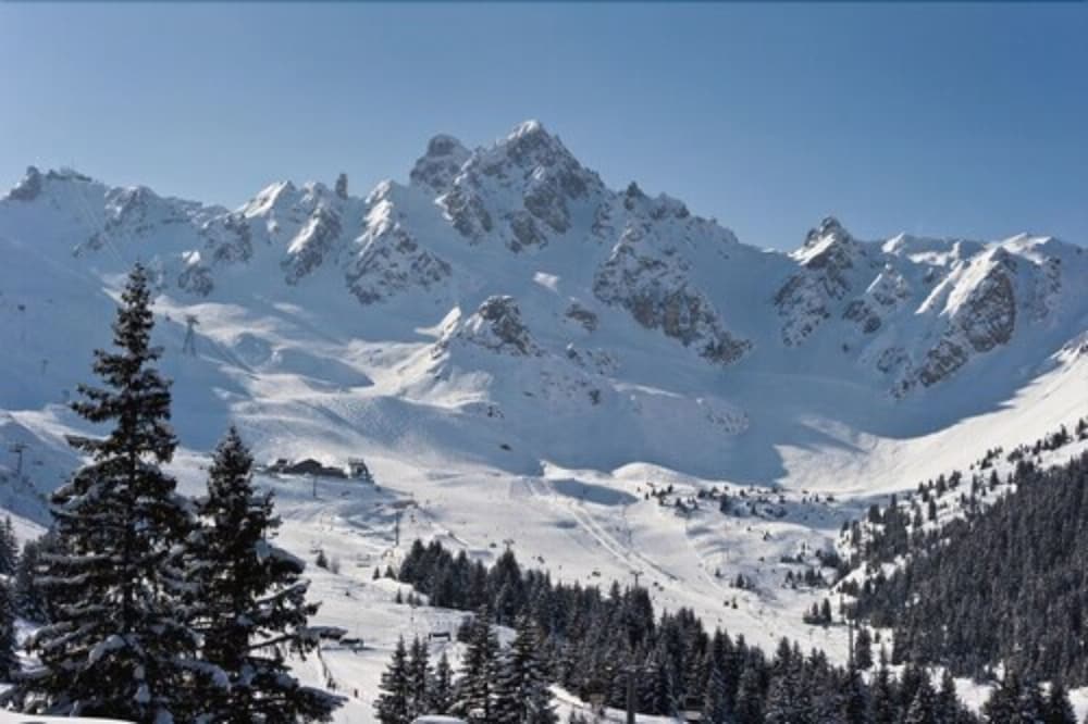 LES SHERPAS 46/50