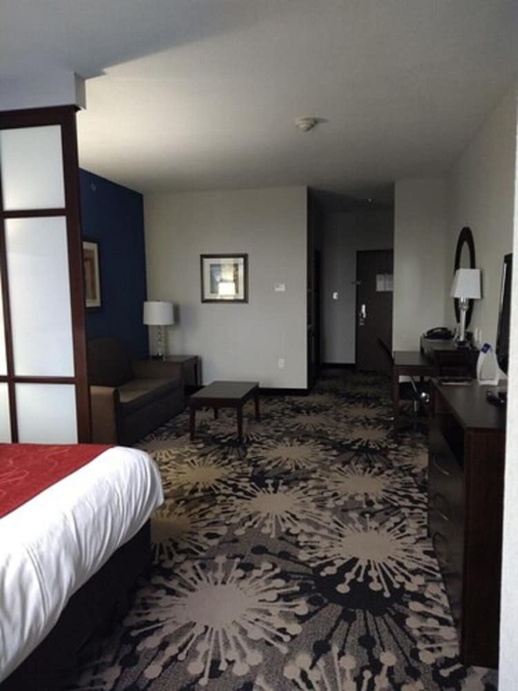Comfort Suites Greenville 12/42