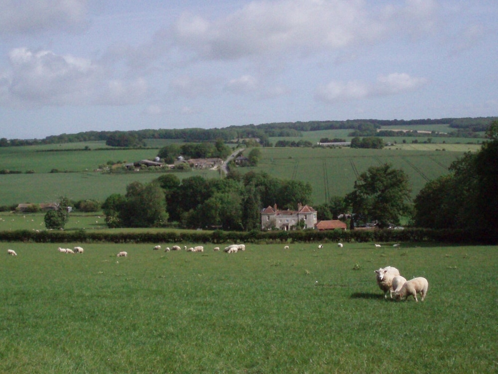 Marshwood Farm B&B And Shepherds Hut 25/33