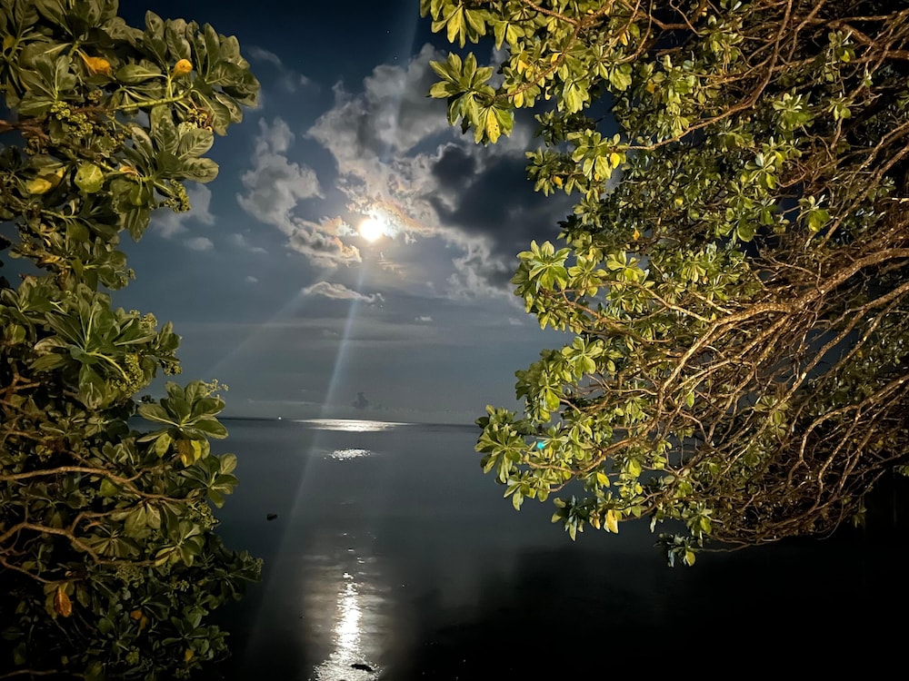 Wakatobi Patuno Resort by SAHID 42/58