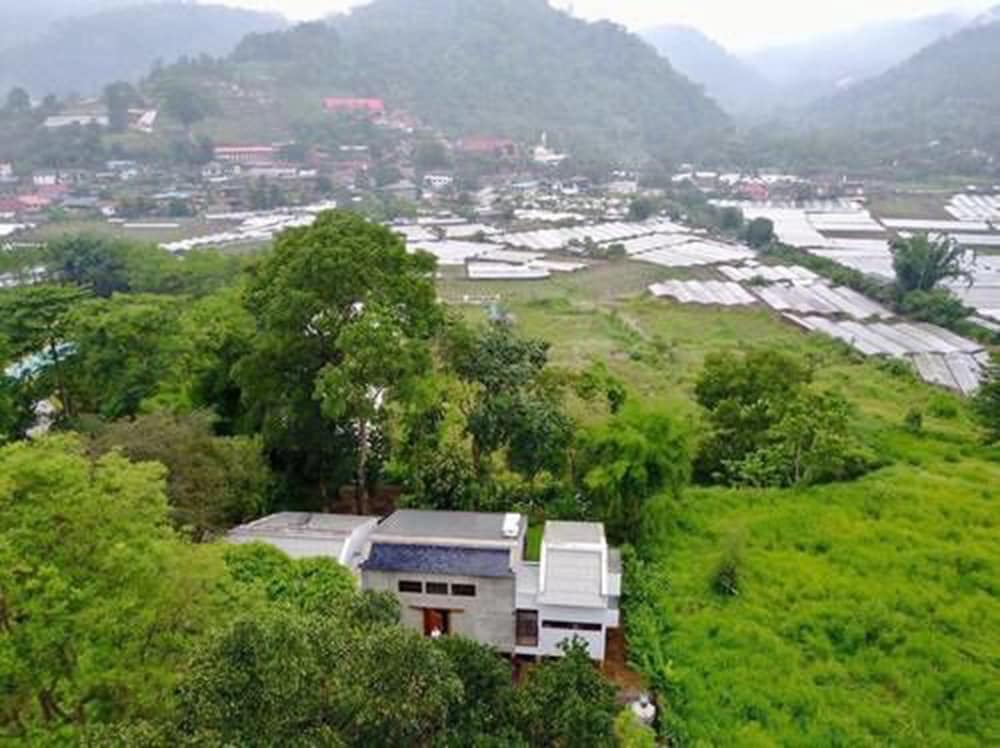 Villa Tammatari 27/29