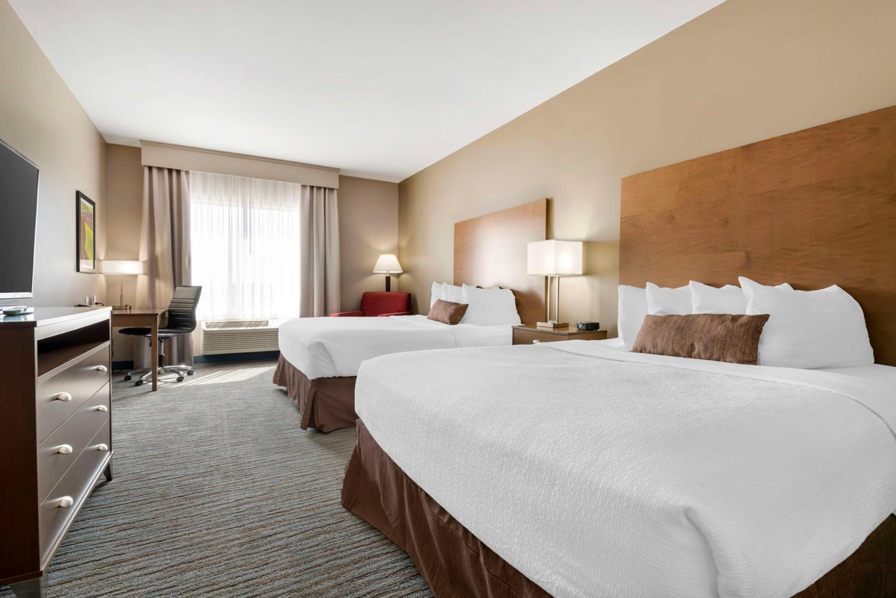 Room, Queen Bed