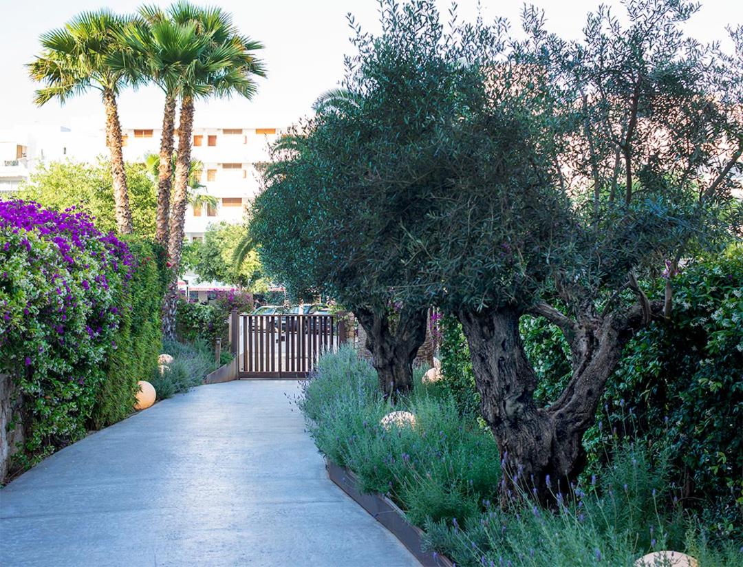 Apartamentos B-Llobet Sun & Confort 47/50