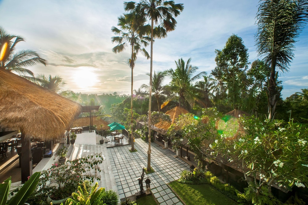 Nandini Jungle by Hanging Gardens 22/35