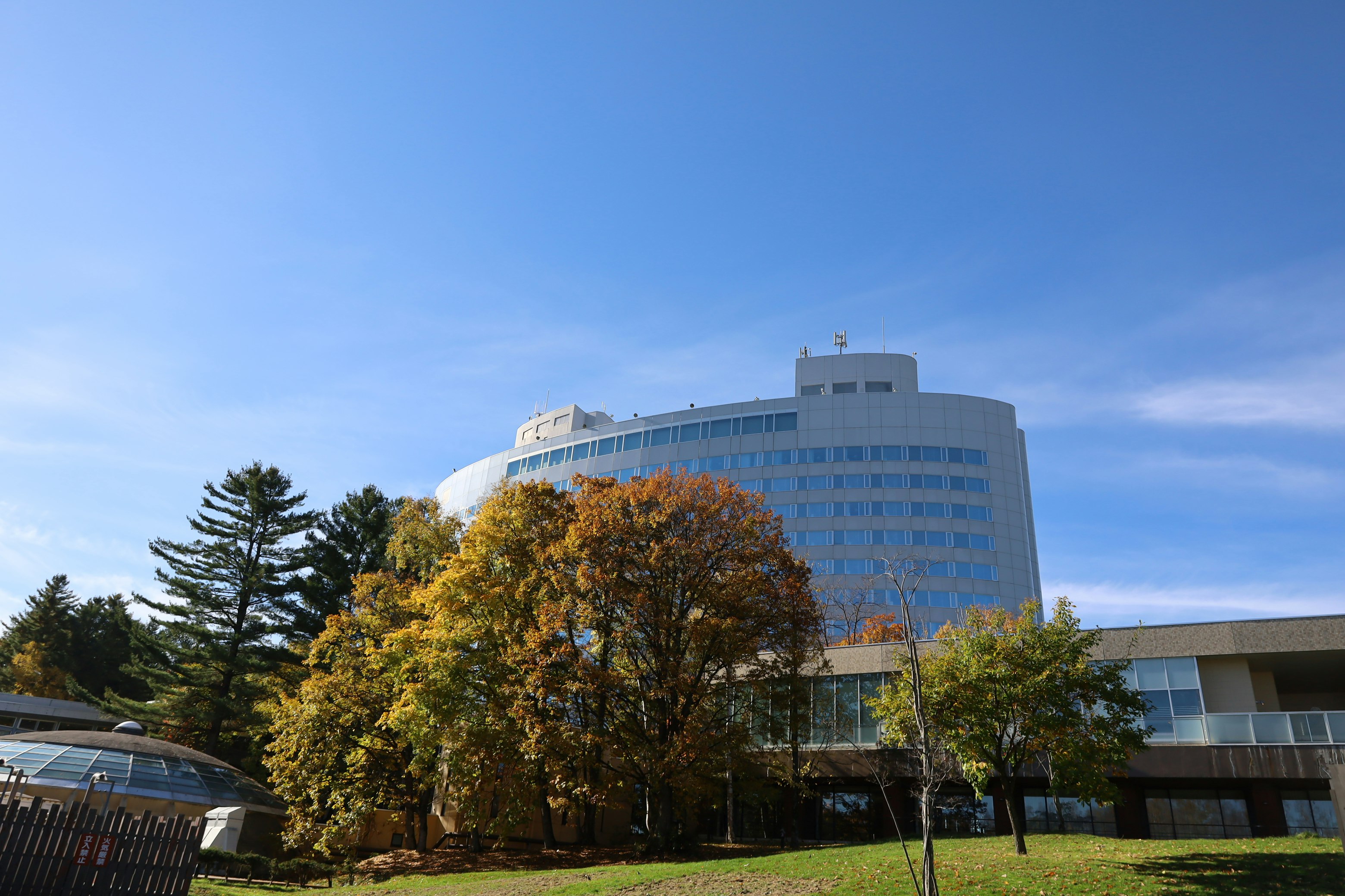 Shin Furano Prince Hotel 3/50