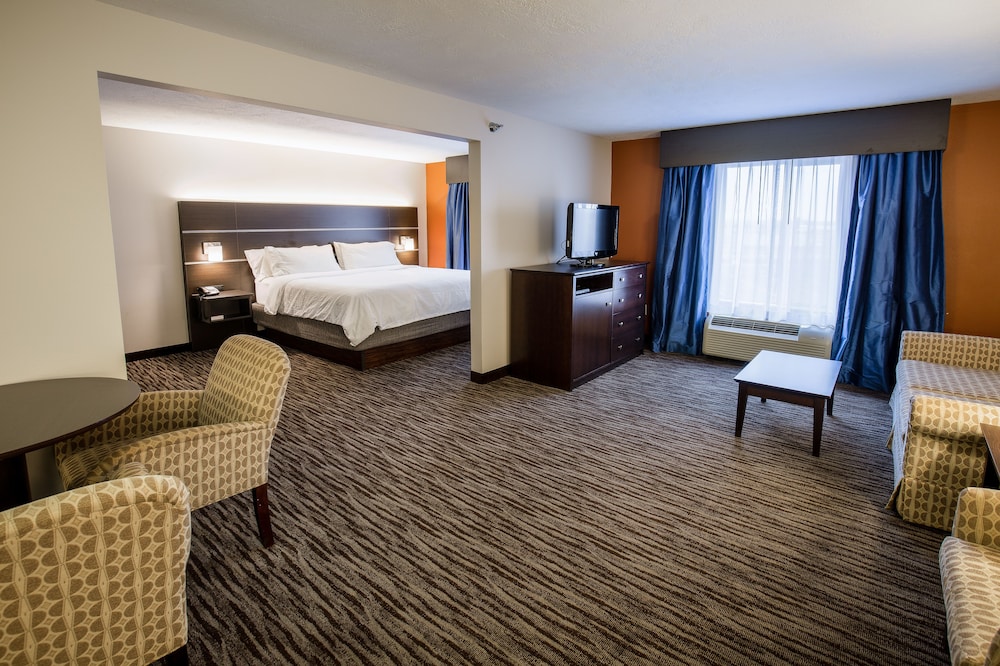 Holiday Inn Express Hotel & Suites Sioux Falls-Brandon, an IHG Hotel 8/41