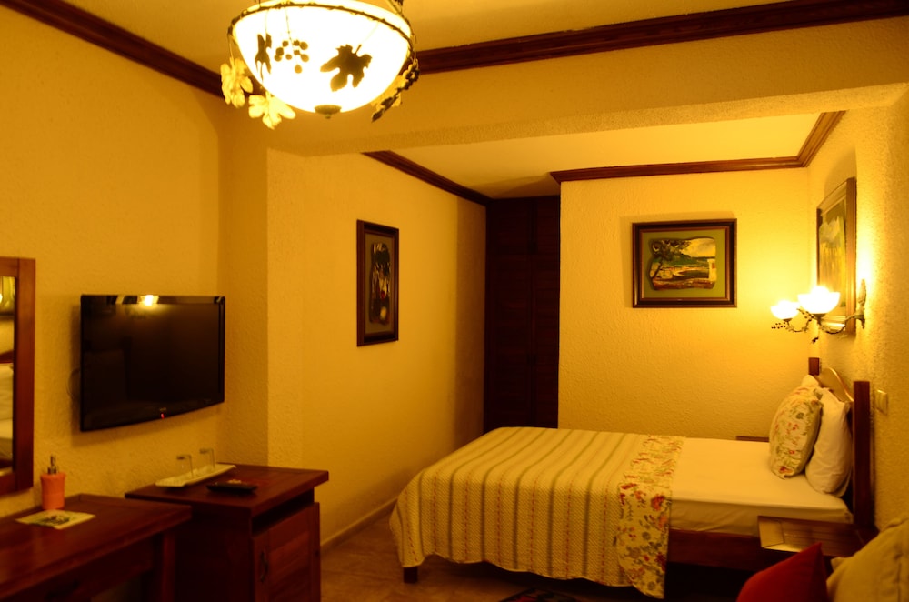 Ada Bacchus Hotel 18/50