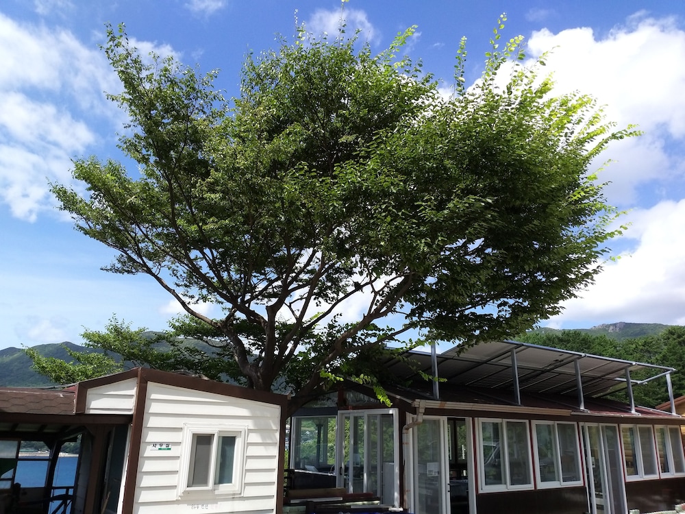 A Day In Geoje Pension 2/44
