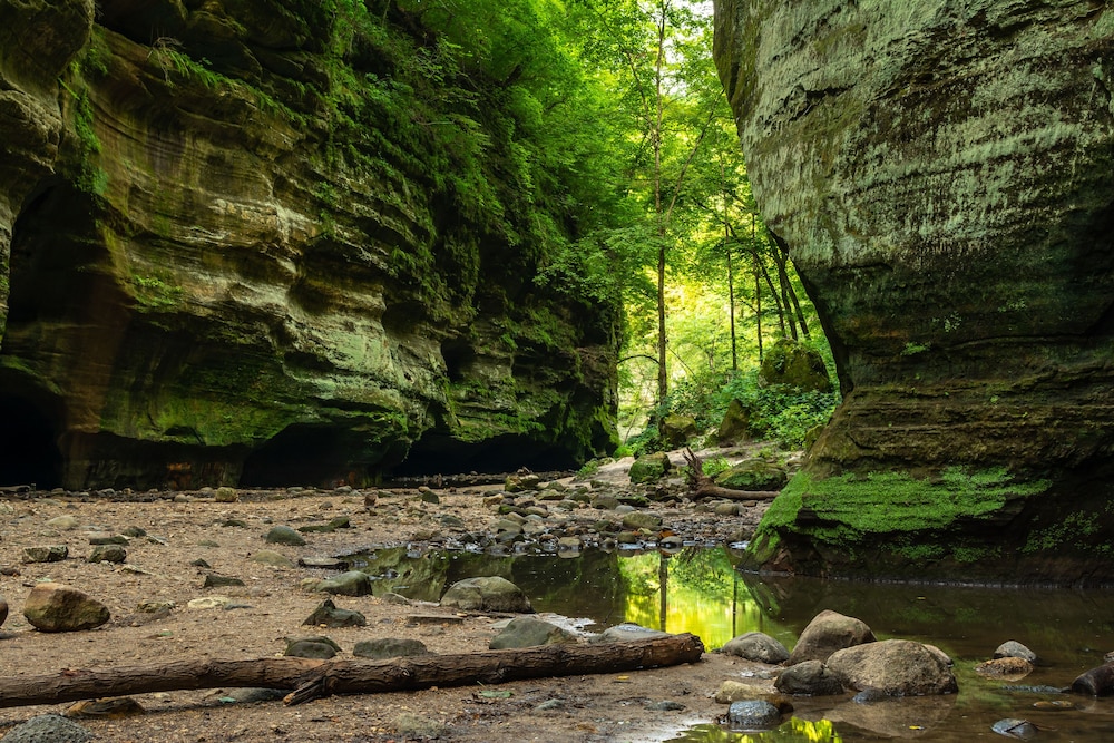 Grand Bear Resort at Starved Rock 56/57