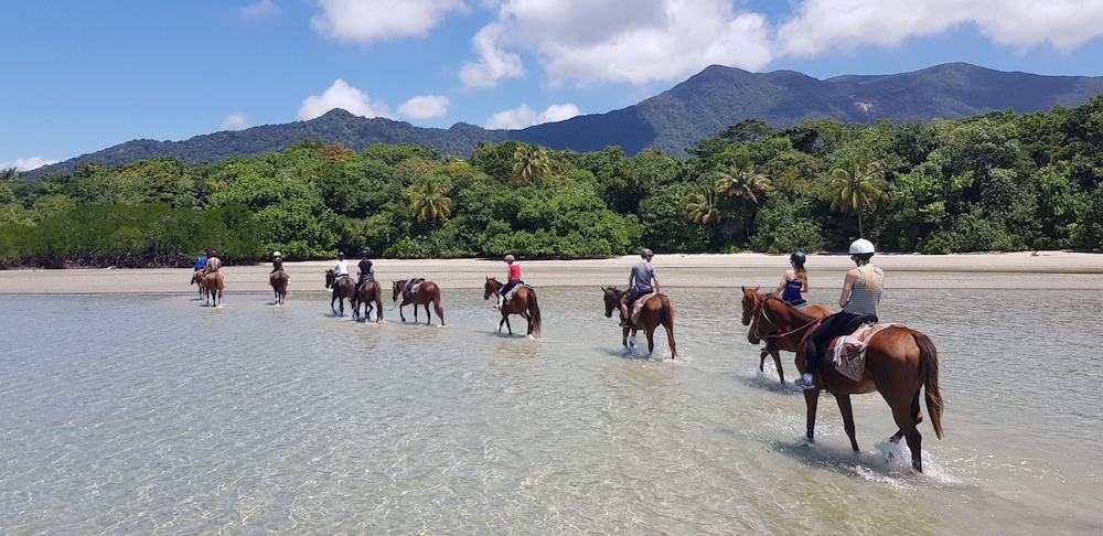 Cape Tribulation Beach House 50/65