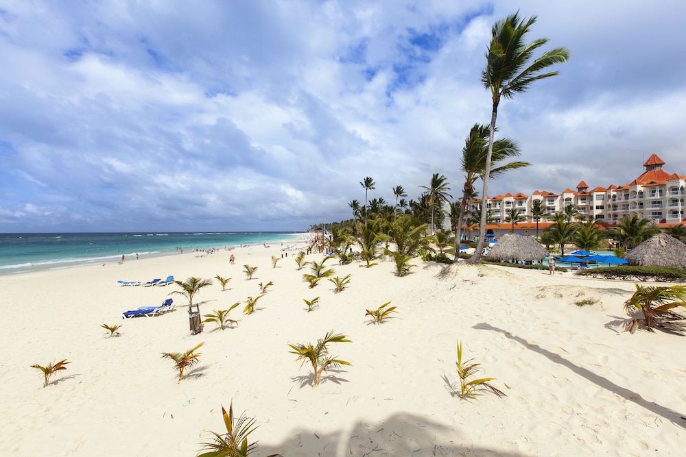 Occidental Caribe 48/50