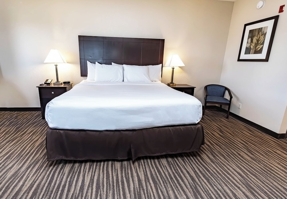 Executive, Suite, King Bed, Sofa