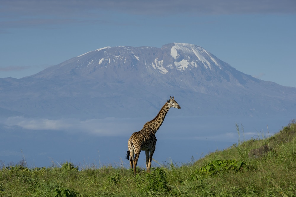 Arusha Serena Hotel Resort Spa 46/50