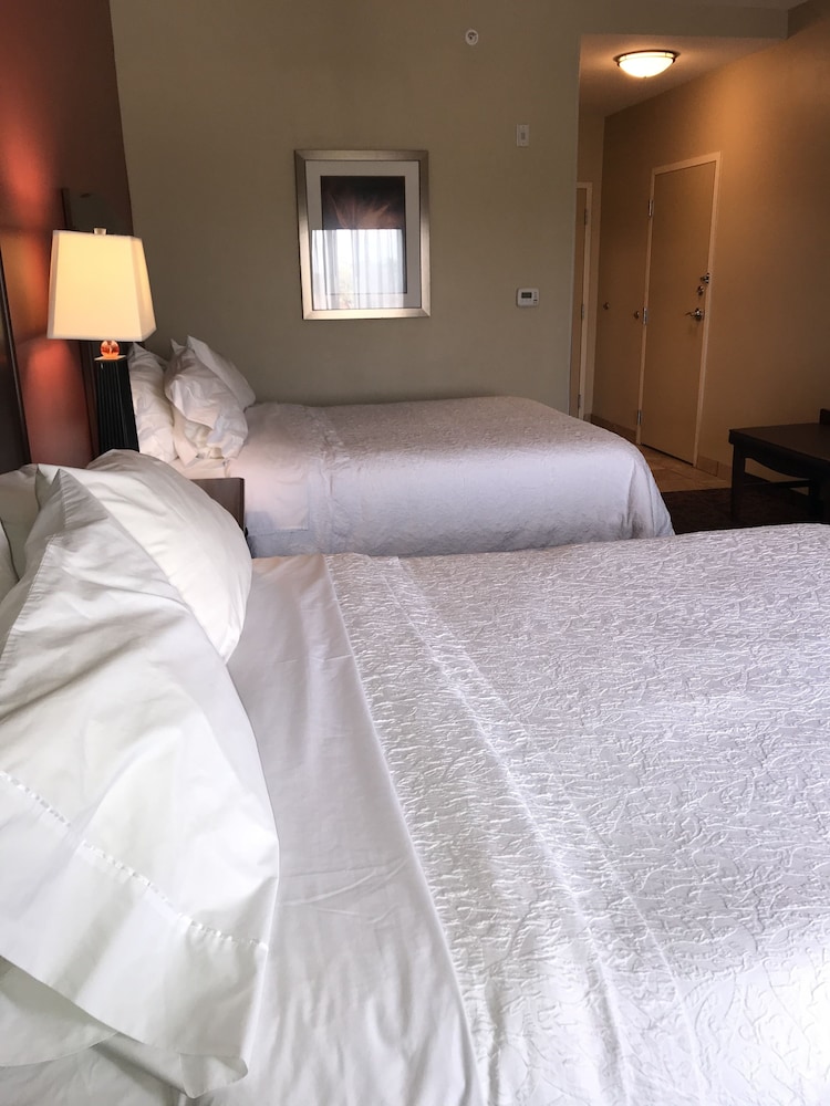 Hampton Inn Suites Mcallen 20/52