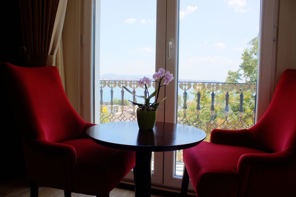 The Magnaura Palace Hotel photo2