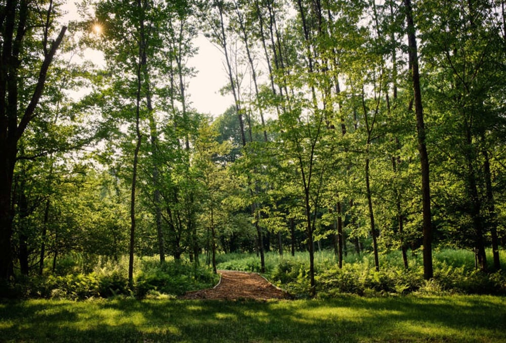 Callicoon Hills 40/44