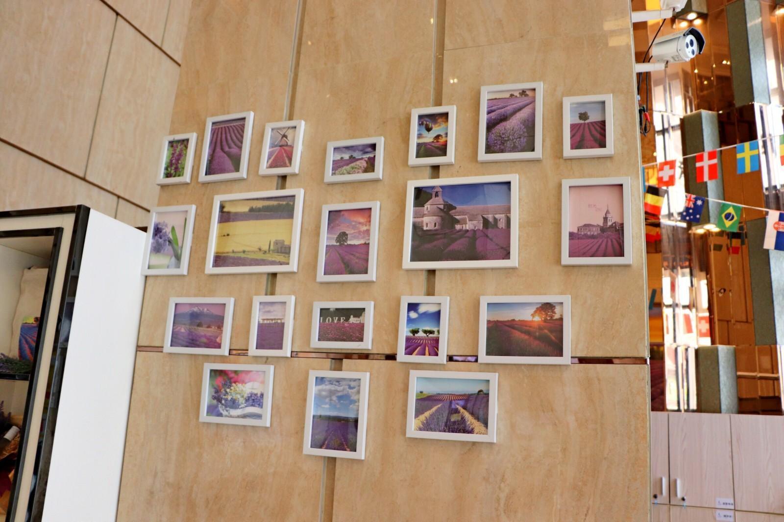 Lavande Hotel Guangzhou South High Speed Railway Station Shibi Metro Station 9/59